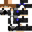 Texture for mega charizard