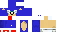 Texture for Sonic