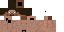 Texture for  Steve 5