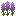 Texture for Better Allium