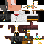 Texture for Invertor Cat