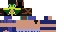 Texture for Pike