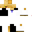 Texture for hi again for the millionth time