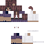 Texture for LibrarianF2