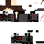 Texture for Aviv Animation
