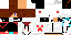 Texture for steve
