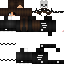Texture for Primax
