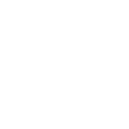 Texture for unicode_page_3b