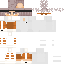 Texture for Ni