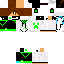 Texture for steve