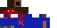 Texture for robin