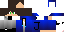 Texture for jay