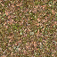 Texture for podzol_top