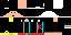 Texture for Enderb0y