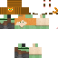 Texture for Chonker2