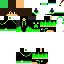 Texture for steve