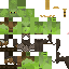 Texture for огр