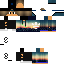 Texture for 1313
