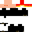 Texture for Apollo