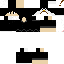 Texture for Penguin Chegio