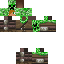 Texture for Daniil