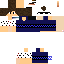 Texture for DSDDS