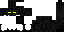 Texture for 9th secret enderman