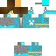 Texture for PerFeC1