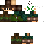 Texture for Capsi