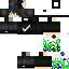 Texture for leo