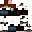 Texture for fv