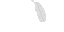 Texture for Fly