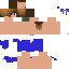 Texture for steve