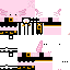 Texture for pixelsantos