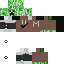 Texture for creeper