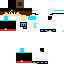 Texture for Steve