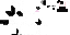 Texture for White splotched minirex