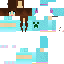 Texture for Shell