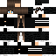 Texture for Gamii