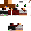 Texture for Steve