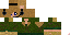 Texture for r466