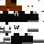Texture for Mega