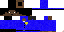 Texture for Cop