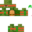 Texture for turtle