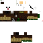 Texture for hm11