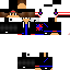 Texture for shield10