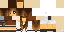 Texture for Tori