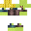 Texture for Melon Man