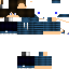 Texture for csikos zebra szilaj