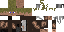 Texture for Survivor
